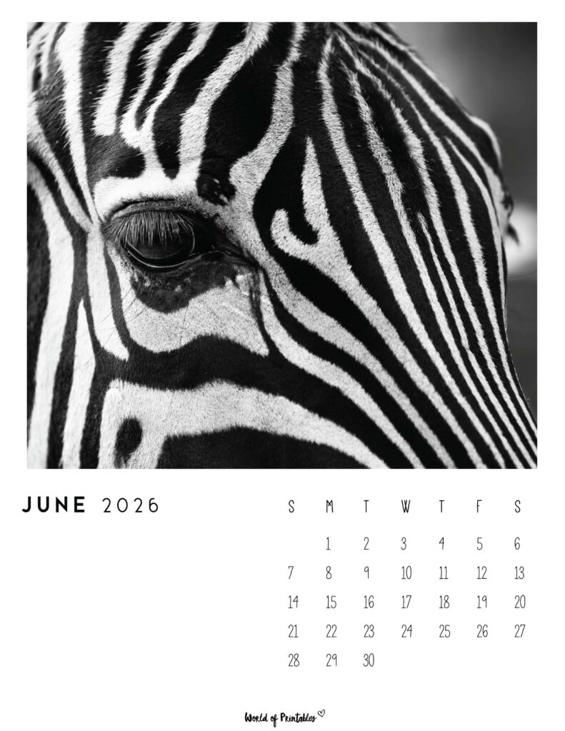 Printable June 2026 Calendar Design 56