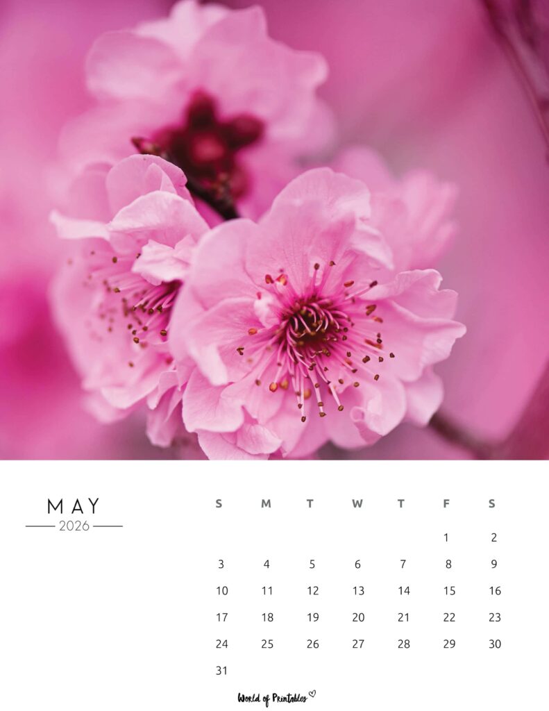 Printable May 2026 Calendar Design 57