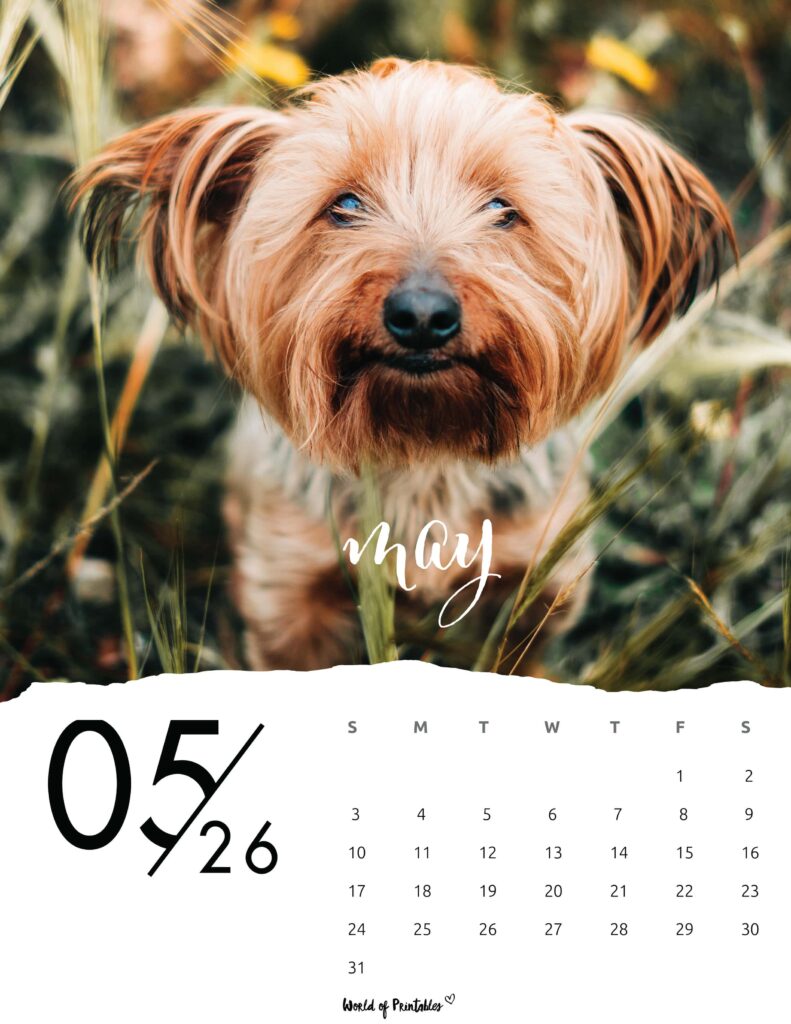Printable May 2026 Calendar Design 59
