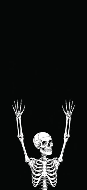 Skeleton Halloween Wallpaper