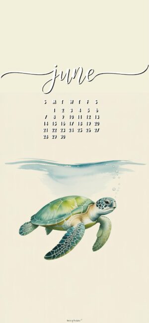 Turtle June Calendar Wallpaper