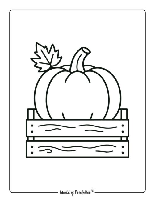 pumpkin coloring page pumpkin in wooden crate