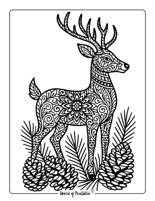 Detailed Reindeer Coloring Page for Grown Ups
