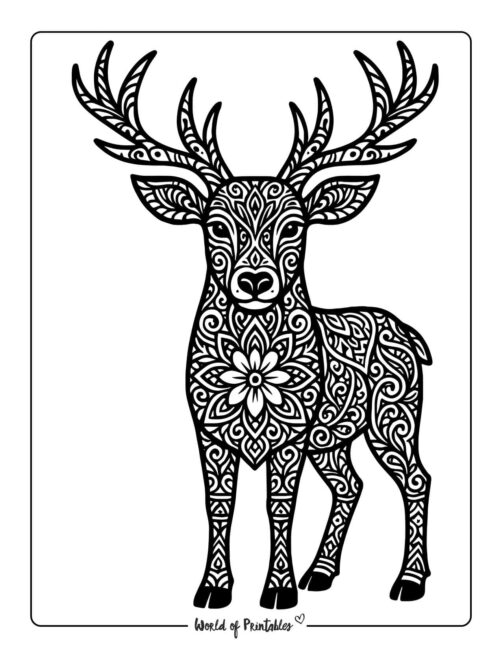 Floral Reindeer Coloring Picture Printable