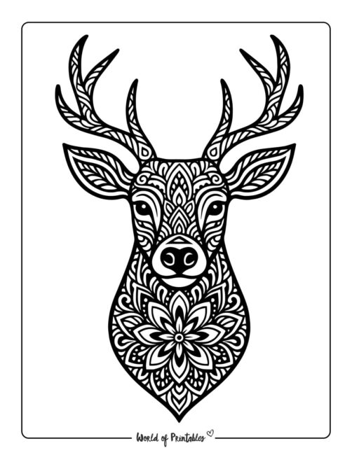 Reindeer Mandala Coloring Page for Adults