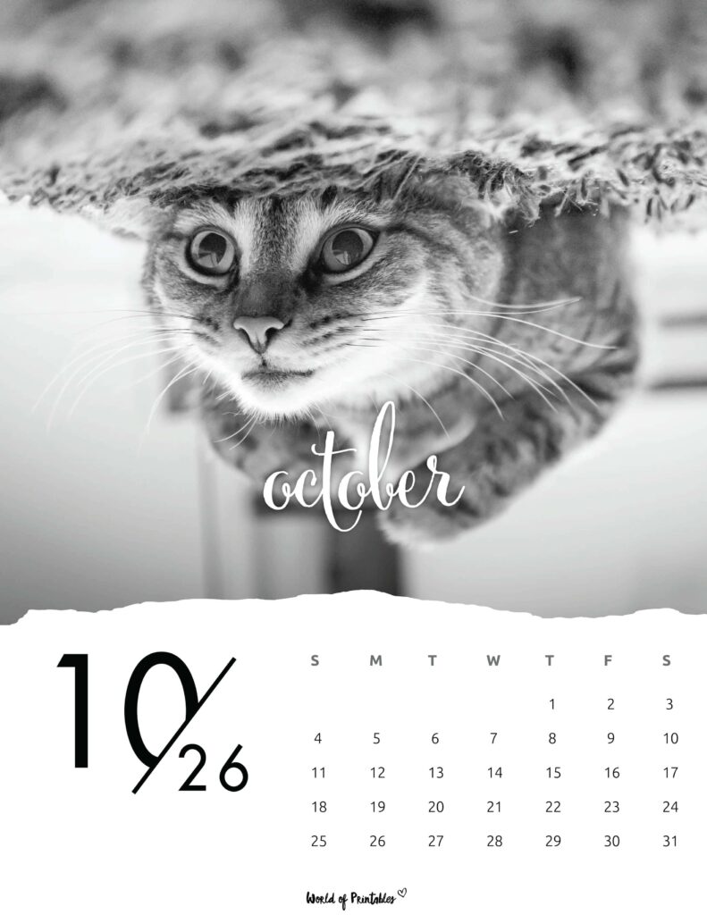 Printable October 2026 Calendar Design 59