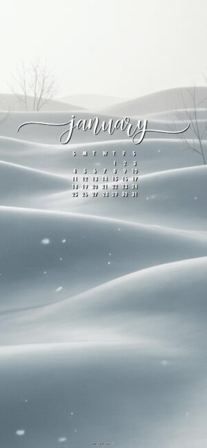 Snowy january 2026 wallpaper