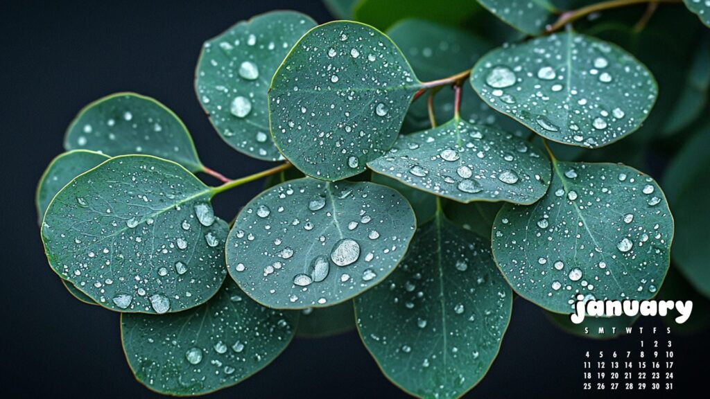 botanical winter january 2026 calendar wallpaper 4k