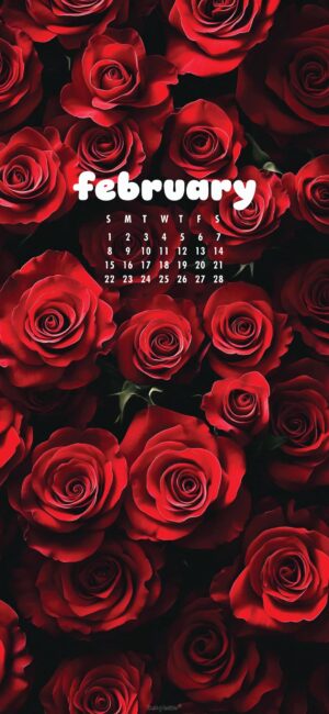 dark red roses floral february calendar wallpaper