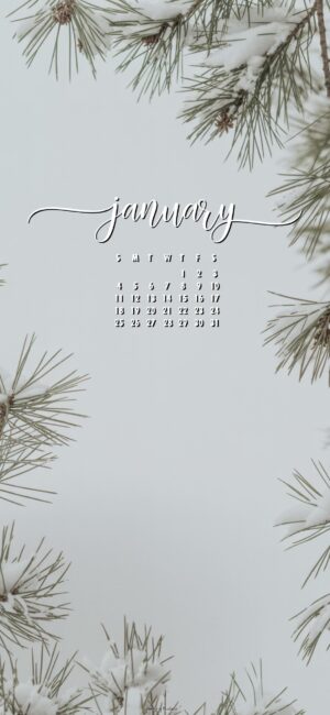 pine tree january 2026 iphone wallpaper