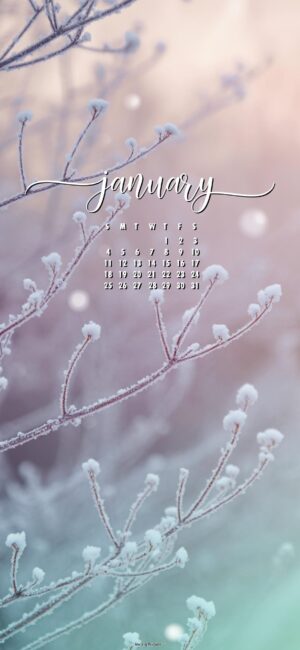 soft winter january 2026 calendar wallpaper