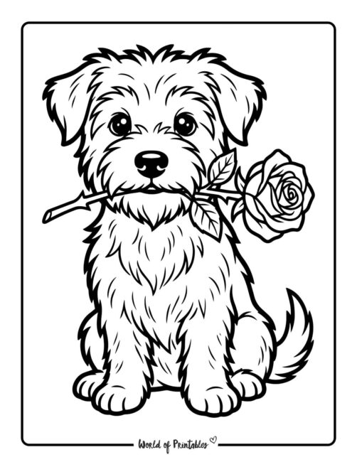 Cute Valentines Puppy With Rose Coloring Page