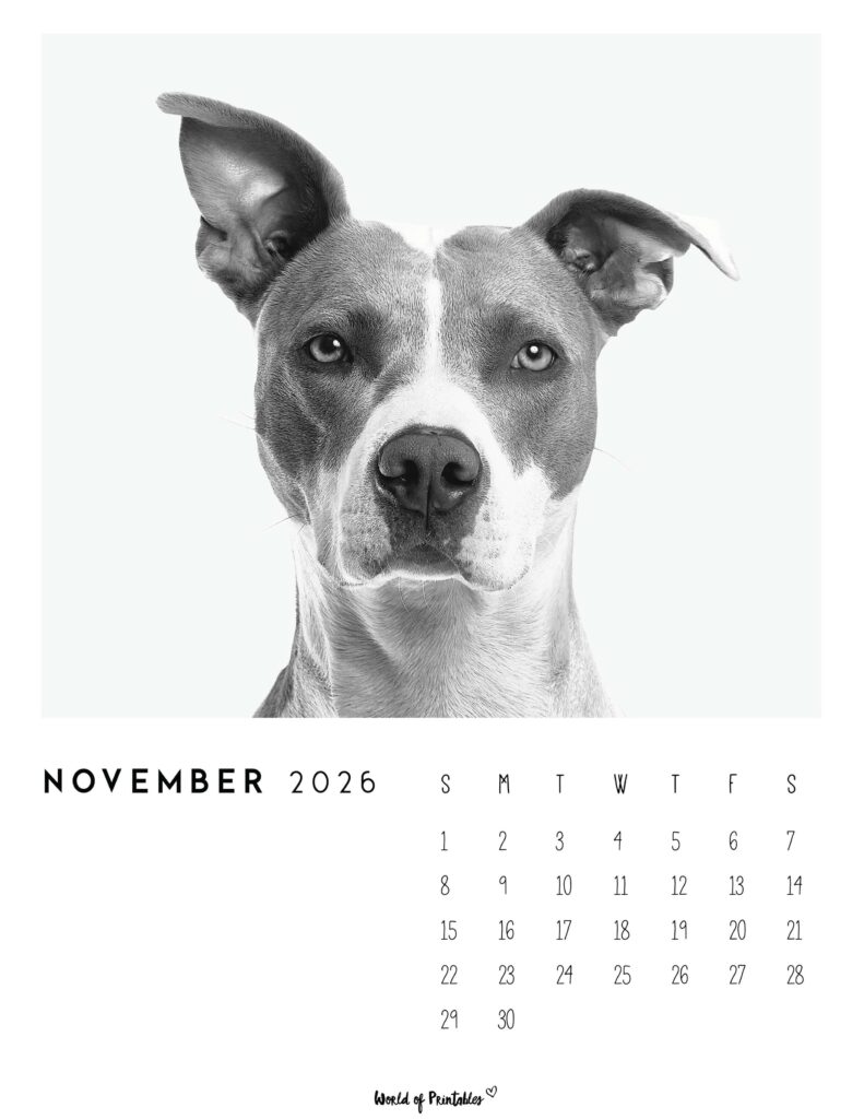 Printable November 2026 Calendar Design 56