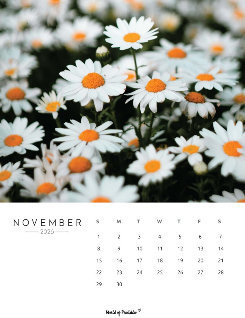 Printable November 2026 Calendar Design 57