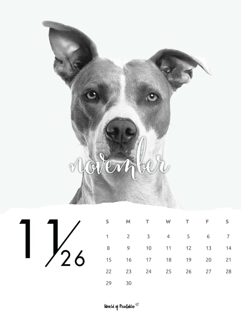 Printable November 2026 Calendar Design 59