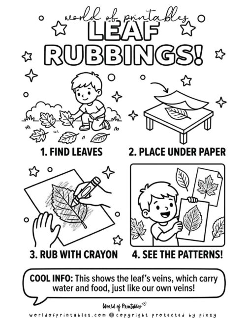 Easy Leaf Rubbing Earth Day Crafts