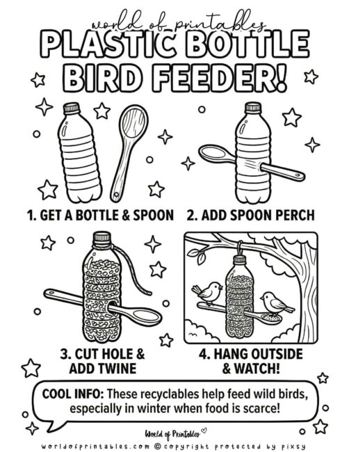 Plastic Bottle Bird Feeder Earth Day Crafts