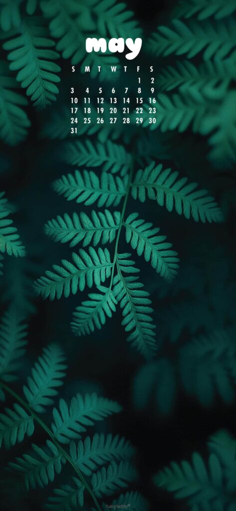 Botanical Aesthetic May Calendar Wallpaper Phone