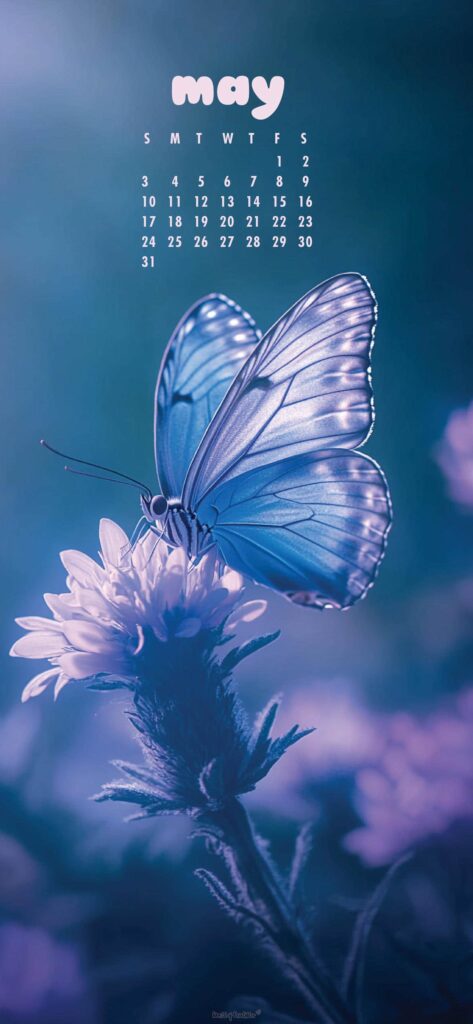 Butterfly May Calendar Wallpaper For Phone
