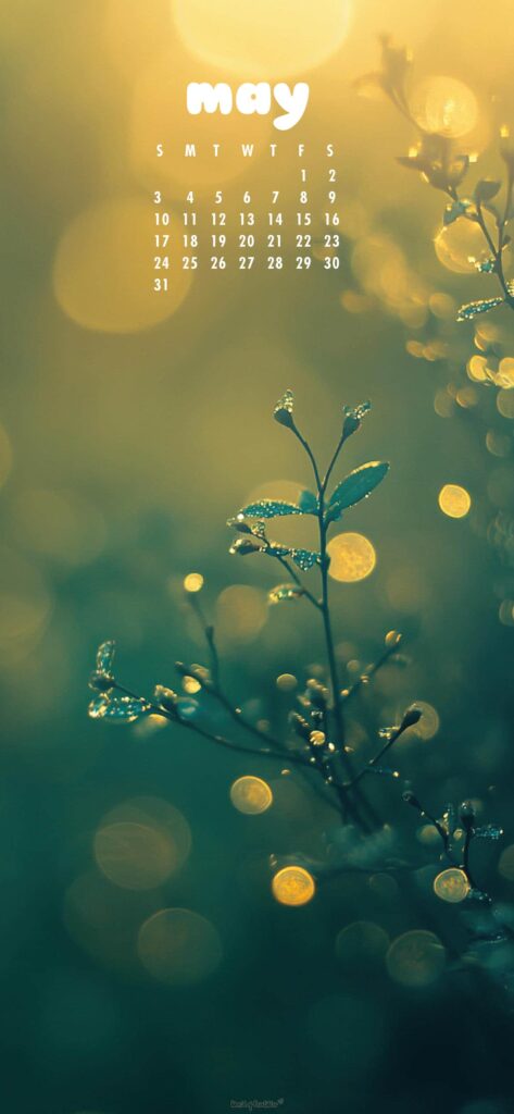 Golden Minimal May Calendar Wallpaper Phone