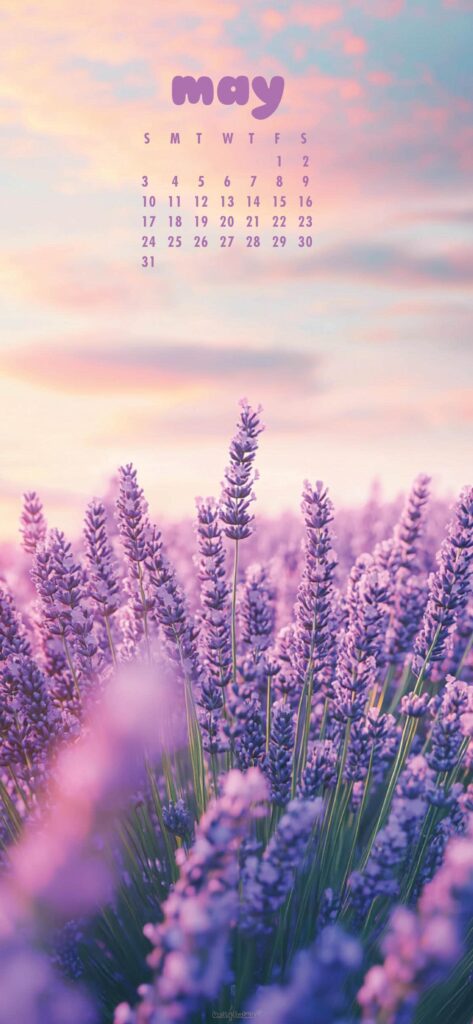 Lavender May Calendar Wallpaper For Iphone