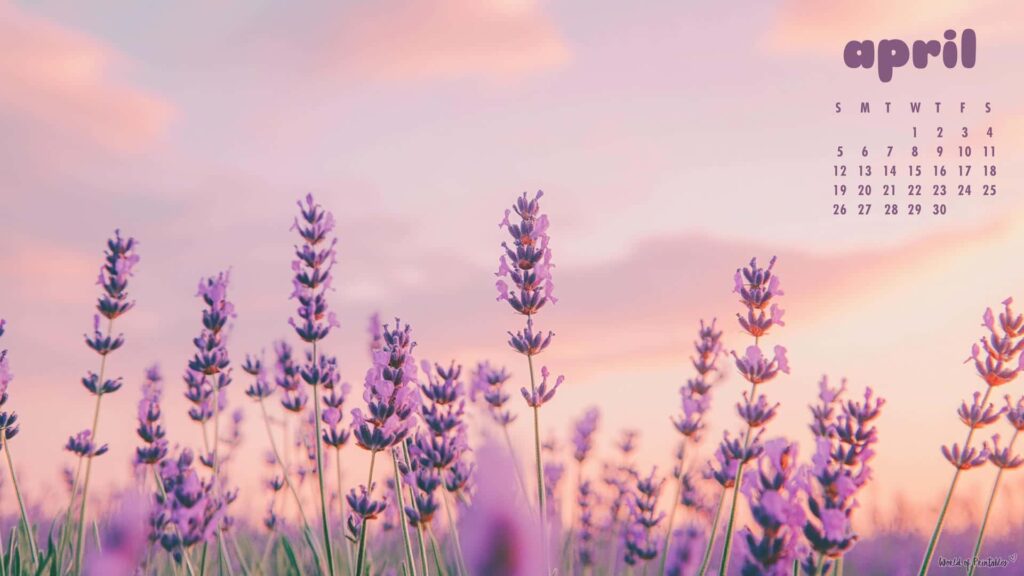 Lavender April Calendar Wallpapers for Desktop