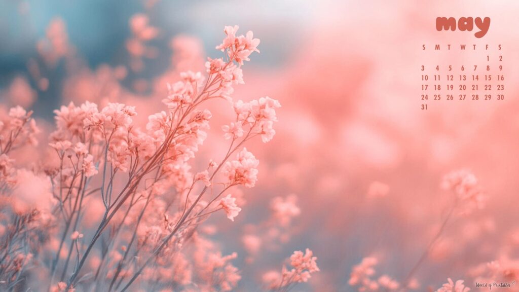 Pink Floral May Desktop Calendar Wallpaper