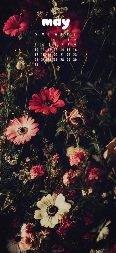 Pretty Flower May Calendar Wallpaper For Android