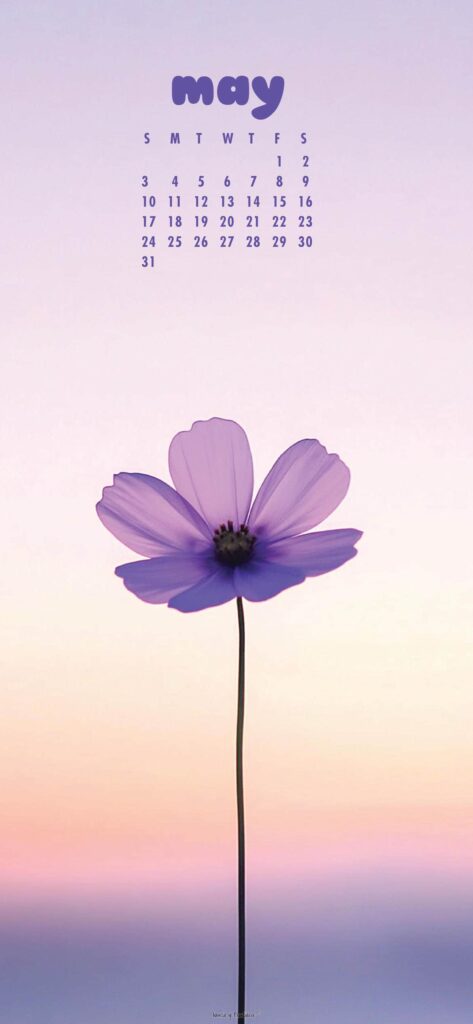 Pretty Purple Flower Aesthetic May Calendar Wallpaper Phone
