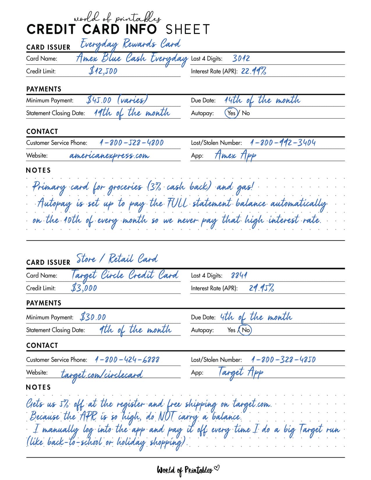 Credit Card Info Sheet Example