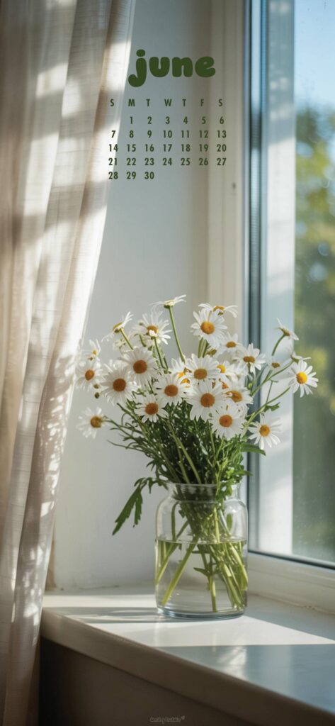 Daisy Aesthetic June Calendar Phone Wallpaper