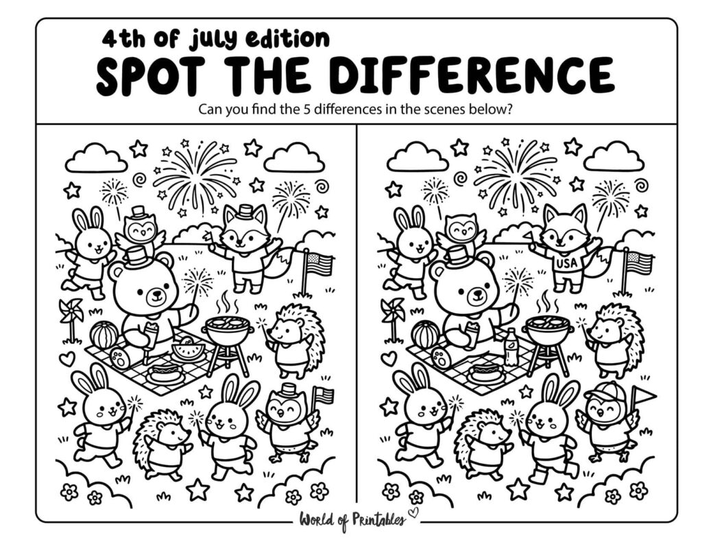 Backyard 4th Of July Party Spot the Difference