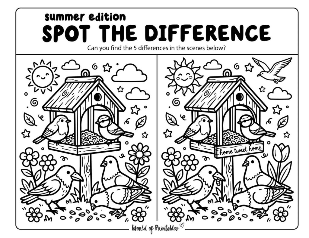 Bird Feeder Spot the Difference