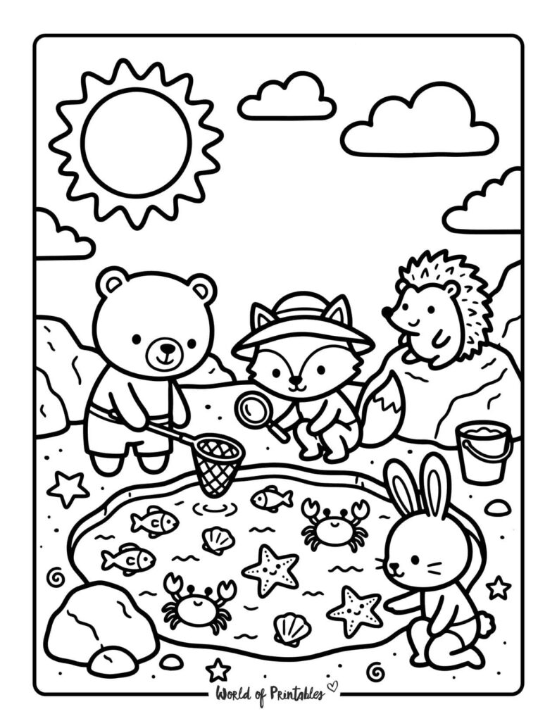 Exploring Rock Pools Coloring Page