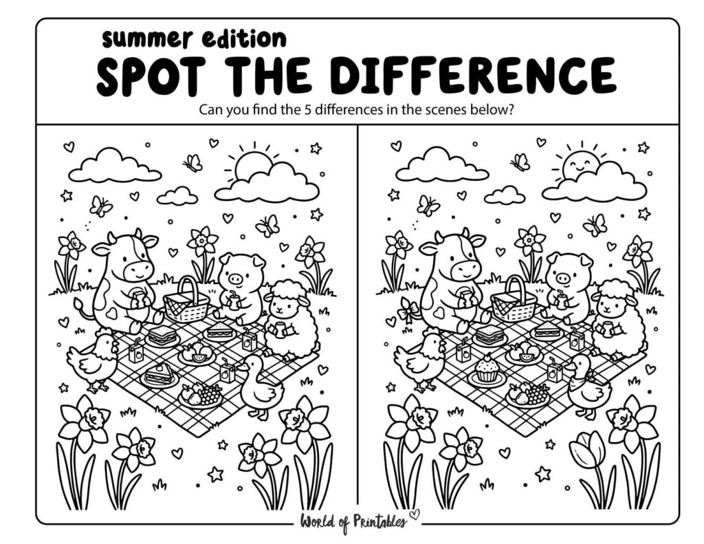 Summer Picnic Spot the Difference