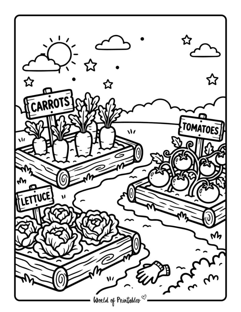 Labeled Vegetable Garden Beds Coloring Page