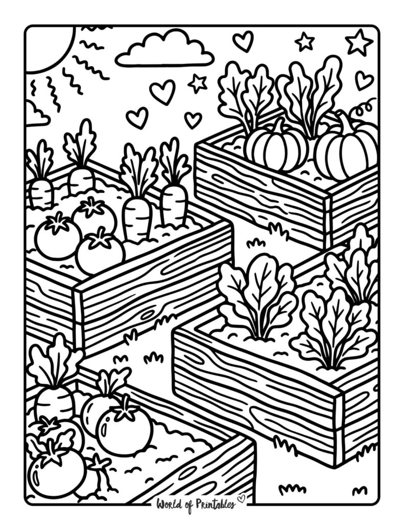 Raised Bed Vegetable Garden Coloring Page