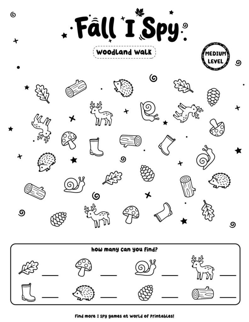 Woodland Walk - Medium Fall I Spy