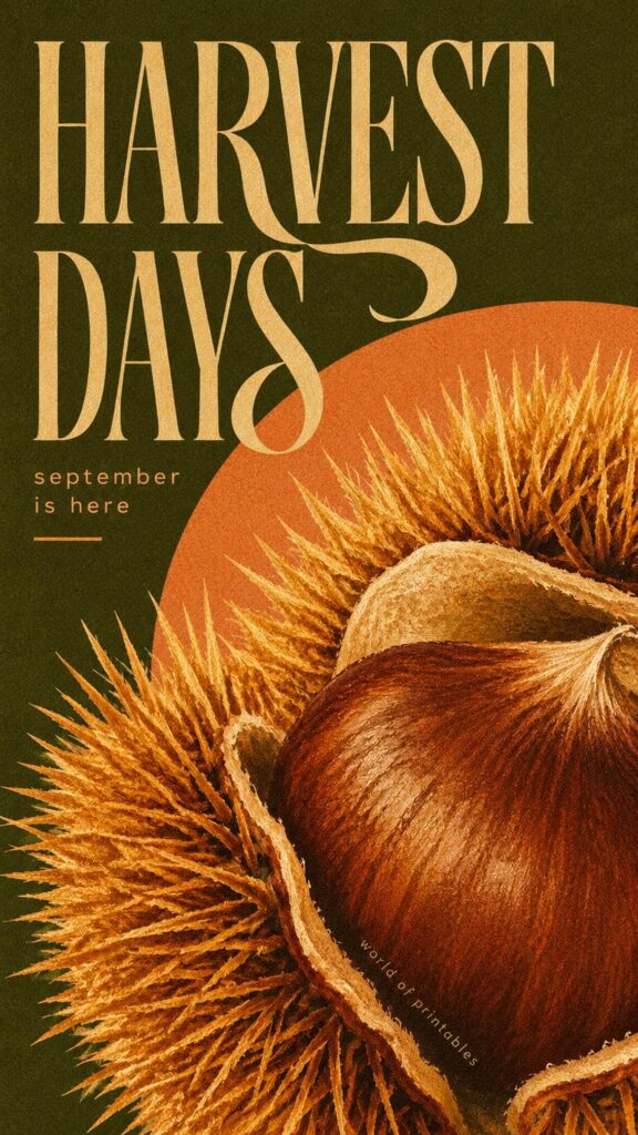 harvest days chestnut september phone wallpaper