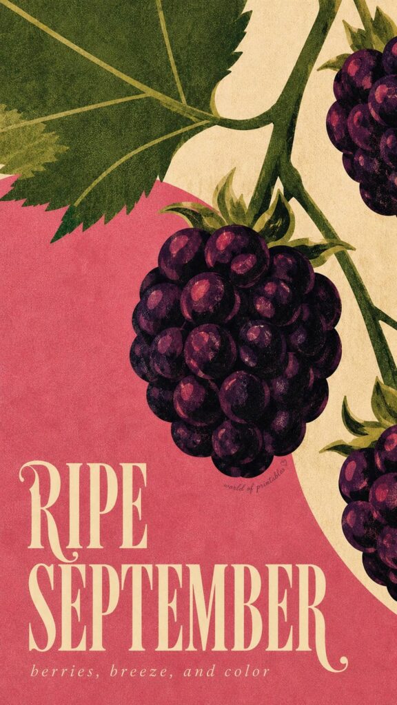 ripe september blackberry phone wallpaper