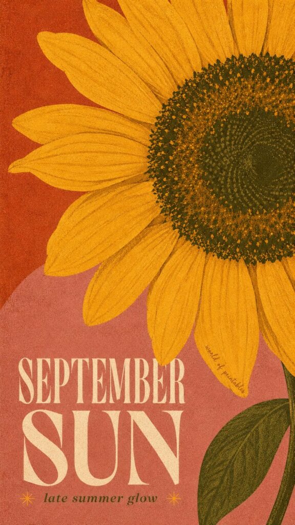 september sun sunflower phone wallpaper