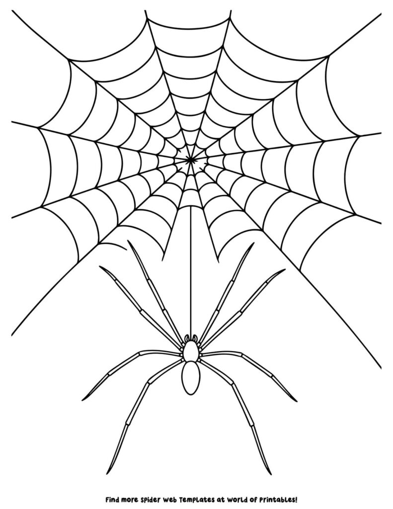 Cellar Spider Coloring Page
