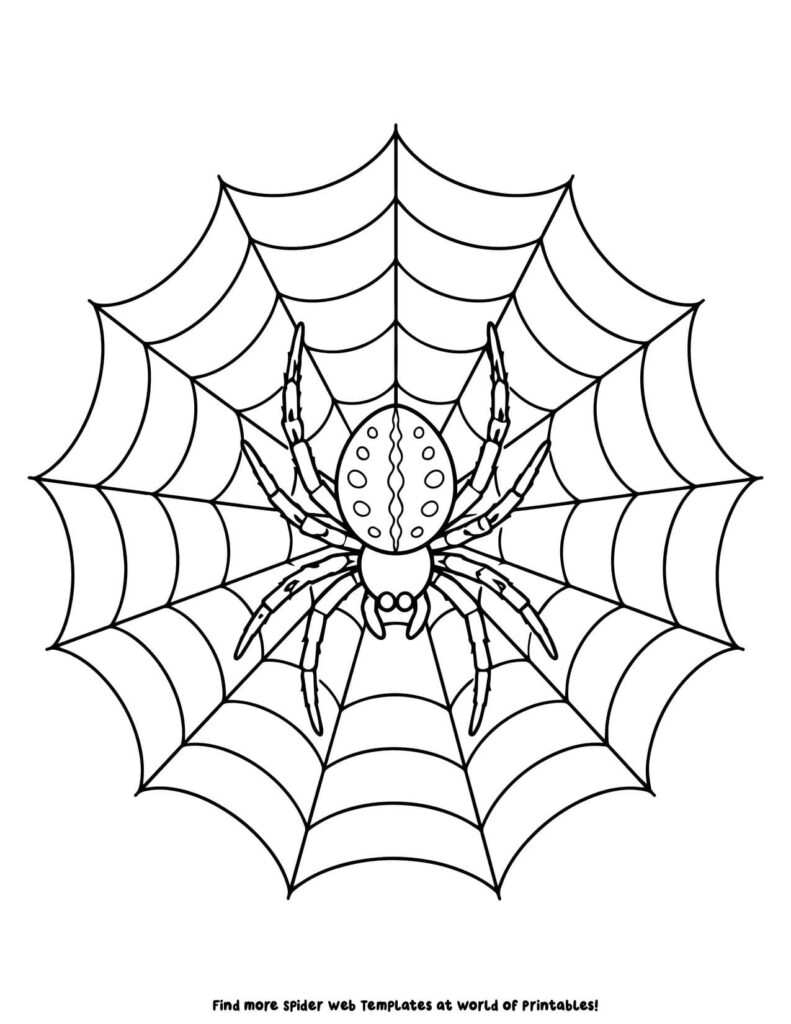 Garden Spider Coloring Page