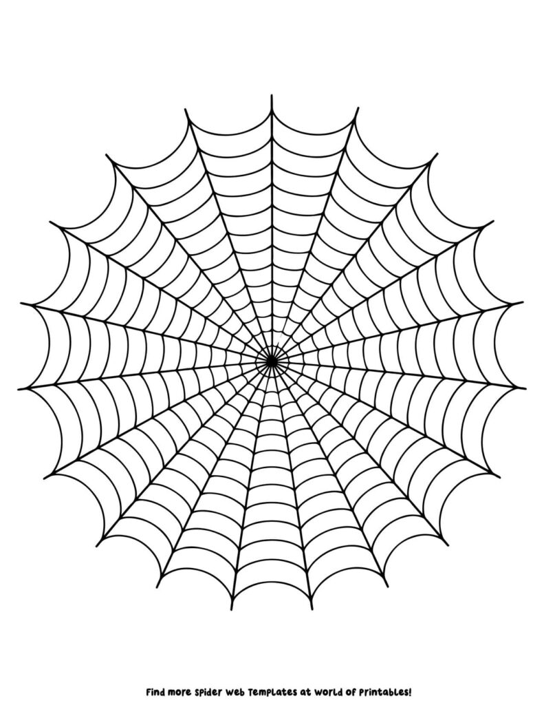 Large Spider Web Template 4