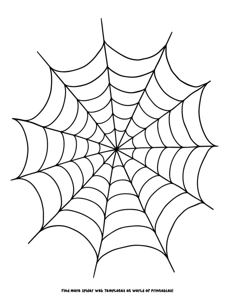 Large Spider Web Template 5