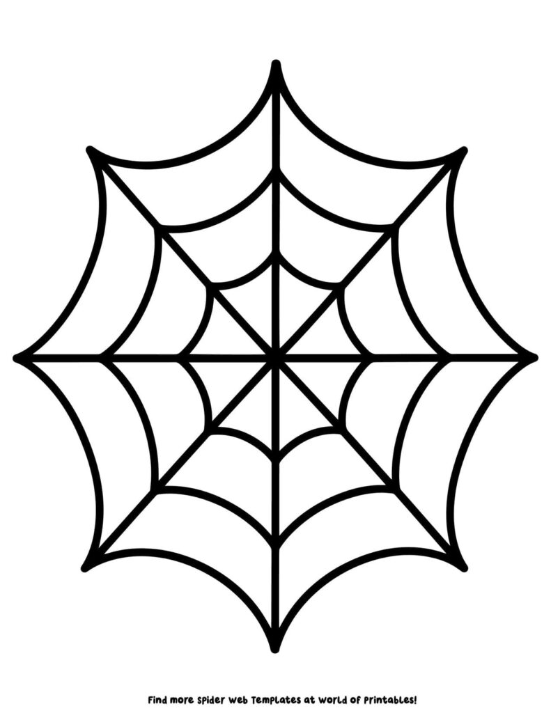 Large Spider Web Template 8