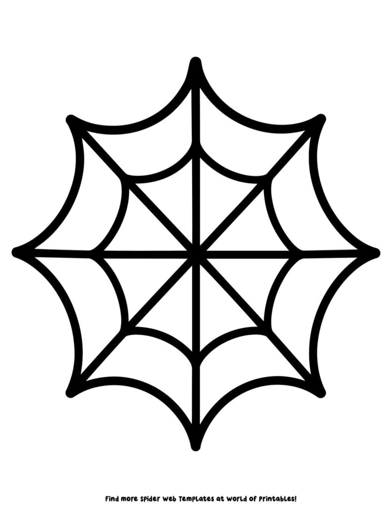 Large Spider Web Template 9