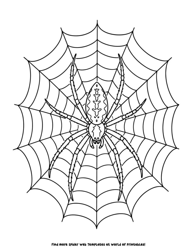 Spider on Web Coloring Page