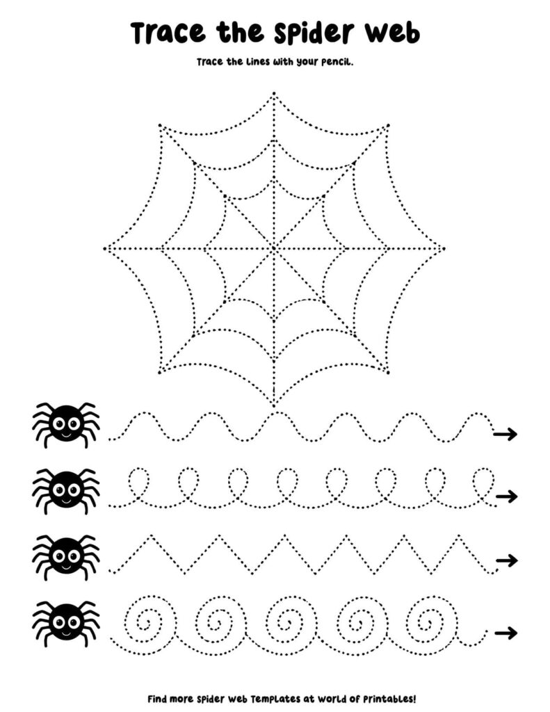 Trace The Spider Web - Spider Web Activity Sheets