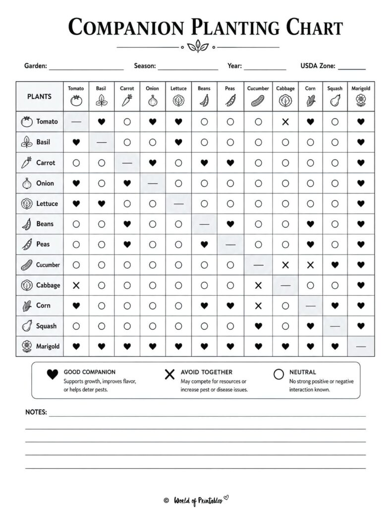 Companion Planting Chart
